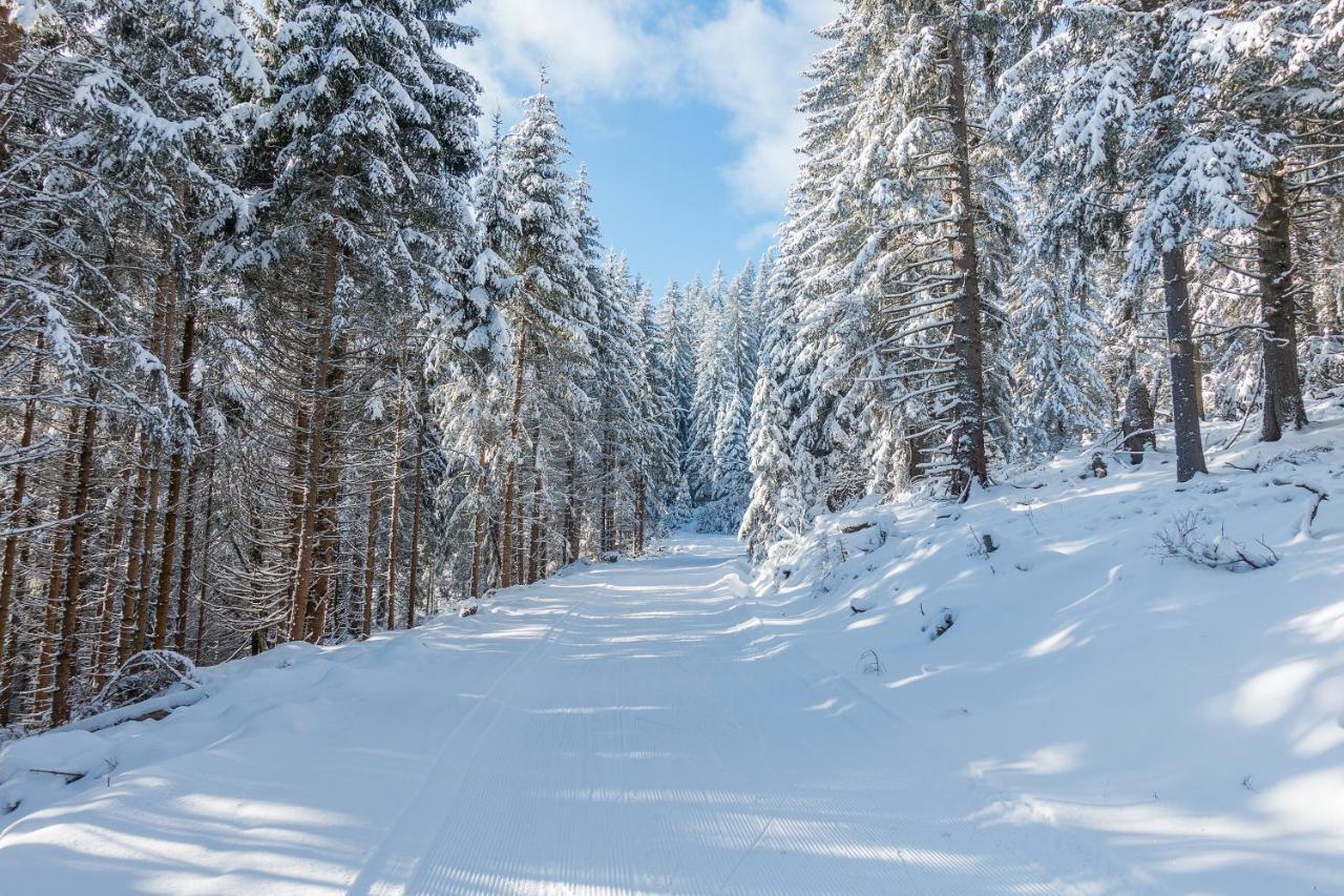 Almbauer Morgenbesser Trattenbach  Zewnętrze zdjęcie