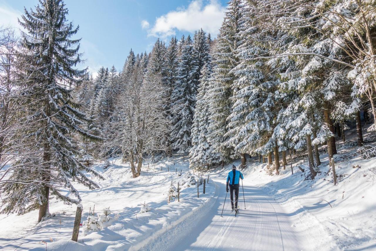 Almbauer Morgenbesser Trattenbach  Zewnętrze zdjęcie